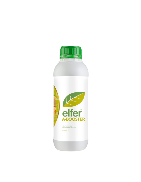 elfer® A-BOOSTER